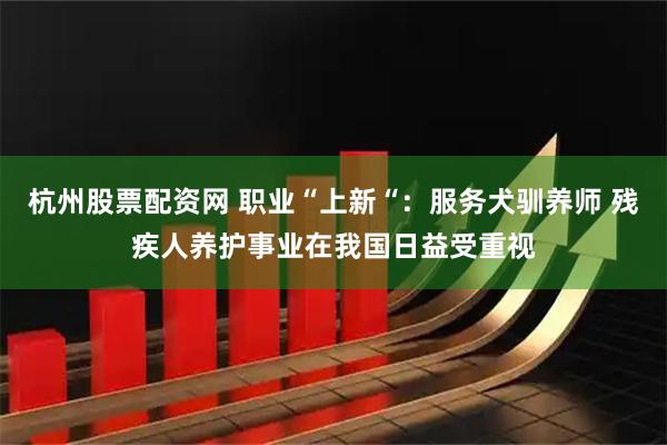 杭州股票配资网 职业“上新“：服务犬驯养师 残疾人养护事业在我国日益受重视