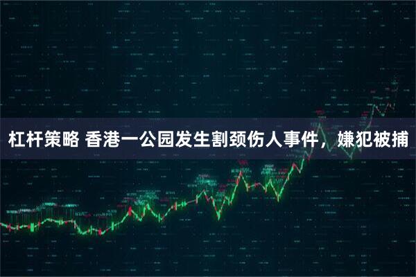 杠杆策略 香港一公园发生割颈伤人事件，嫌犯被捕