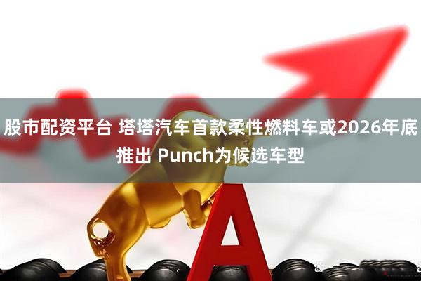 股市配资平台 塔塔汽车首款柔性燃料车或2026年底推出 Punch为候选车型